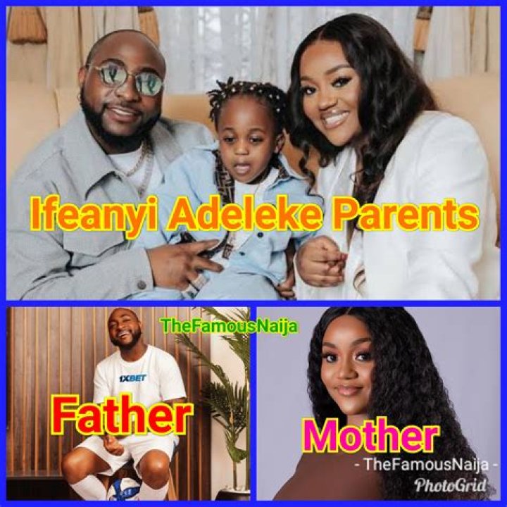 Exploring Adedeji Adeleke's Net Worth in 2024: A Deep Dive