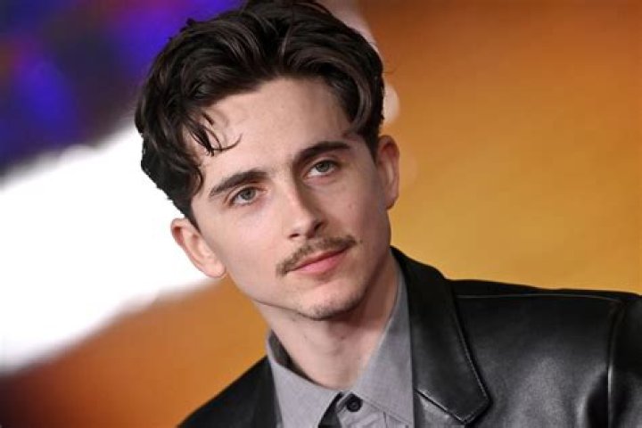 Exploring the Timoth&eacute;e Chalamet Bald Rumors: Separating Fact from Fiction